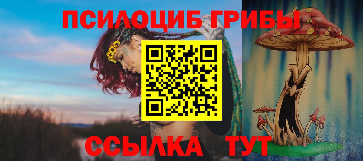 Галлюциногенные грибы Magic Shrooms  Галлюциногенные грибы Psilocybe  Вход с VPN  Карпинск 