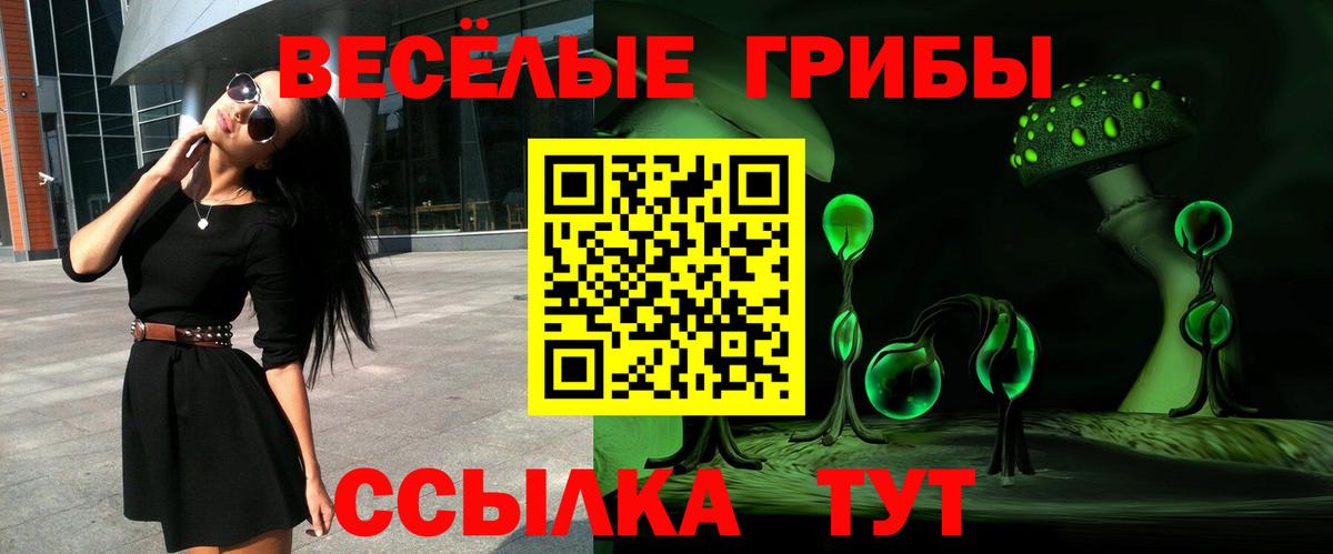 Галлюциногенные грибы Cubensis Карпинск